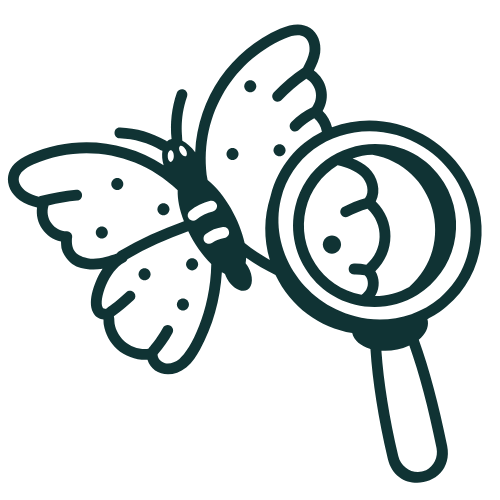 Book Icon