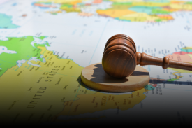 Animated Card Hover Effect Html & CSS