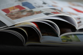 Animated Card Hover Effect Html & CSS