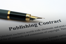 Animated Card Hover Effect Html & CSS