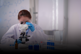 Animated Card Hover Effect Html & CSS