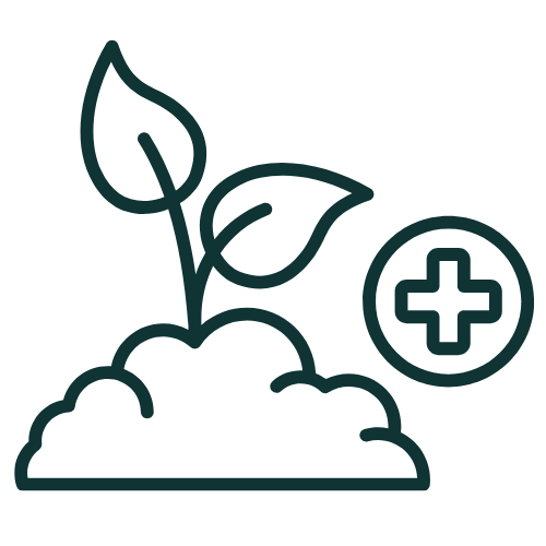 Graduate Icon