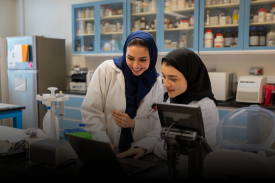 Animated Card Hover Effect Html & CSS