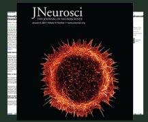 Journal of Clinical Oncology