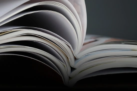 Animated Card Hover Effect Html & CSS