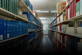 Animated Card Hover Effect Html & CSS