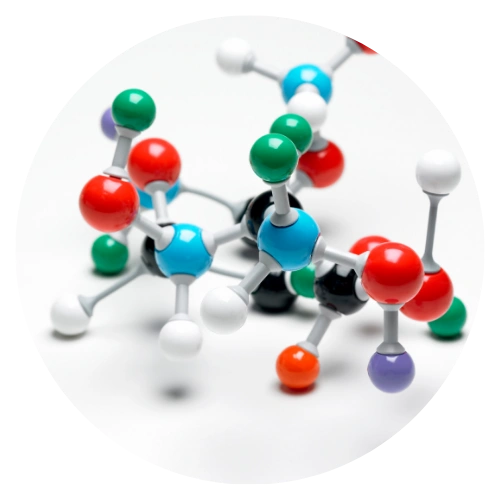 Biopolymers