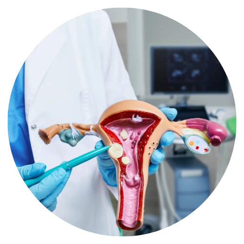 Comprehensive Research, Writing, and Publication Support in Gynaecology