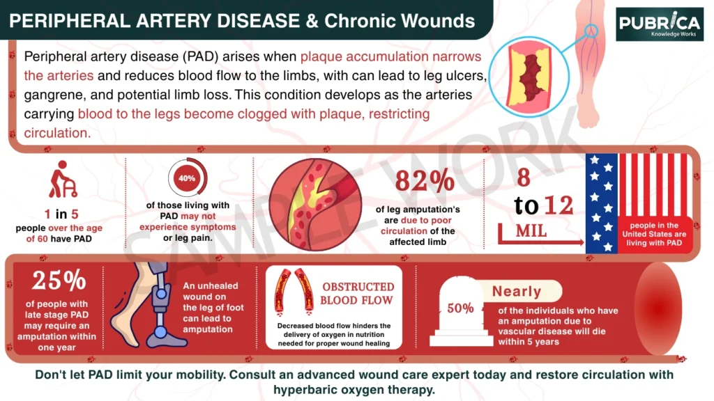 Educational Content Development Service