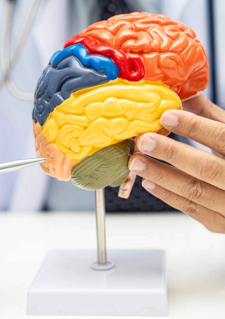 Emerging Trends in Neurology Research