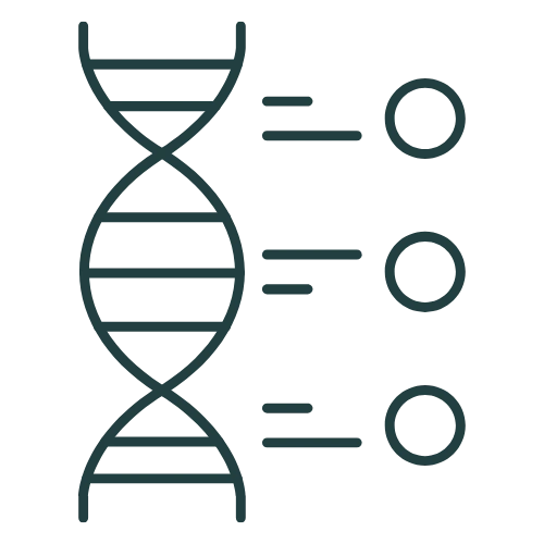 Book Open Reader Icon