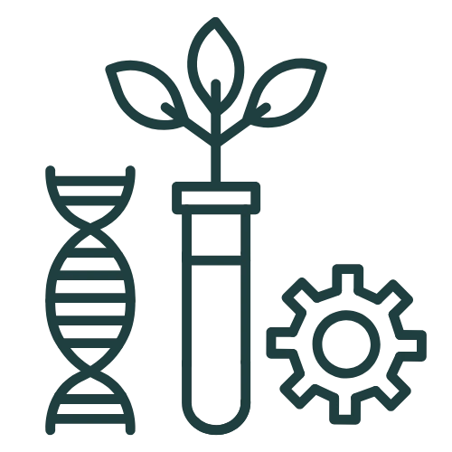 Book Open Reader Icon