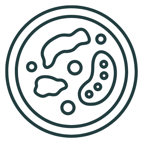 Book Open Reader Icon