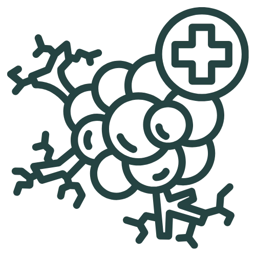 Graduate Icon