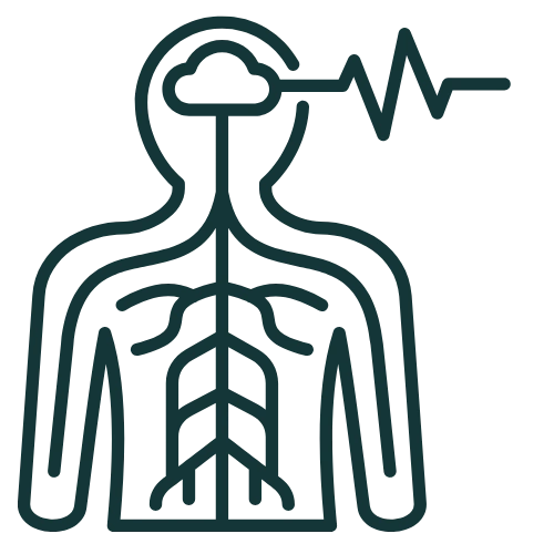 Book Open Reader Icon