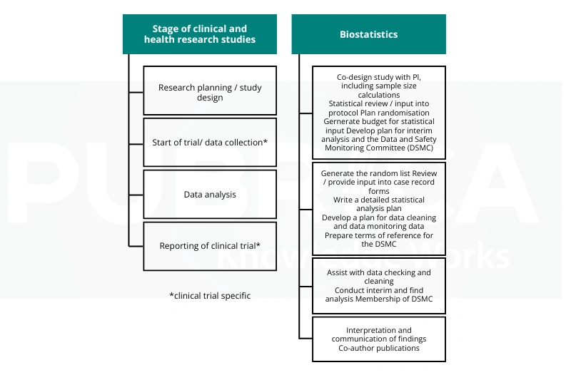 The Role of Biostatistics in Clinical Research Programs