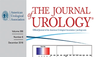 journal of urology