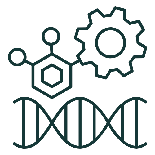 Book Open Reader Icon