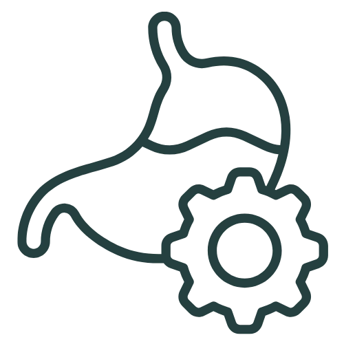 Notes Icon
