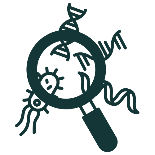Book Icon