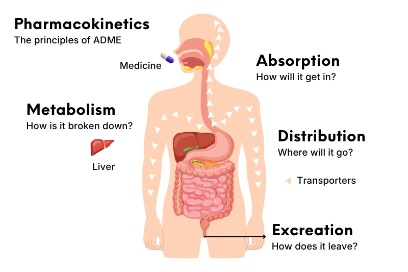 SAR Analysis in Research: Structure Activity Guide
