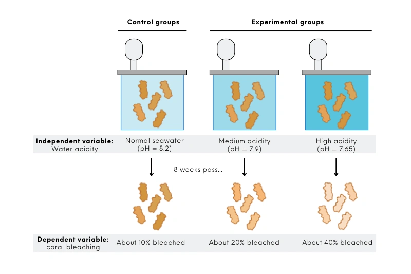 research design in experiments