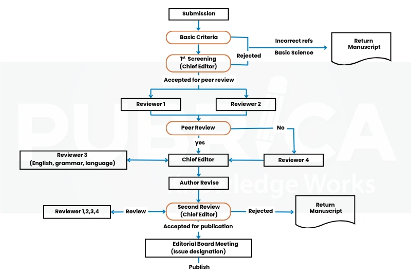 manuscript editing for multilingual authors