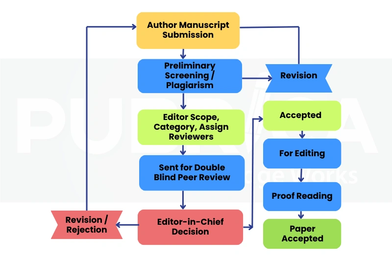 Journal Submission Process