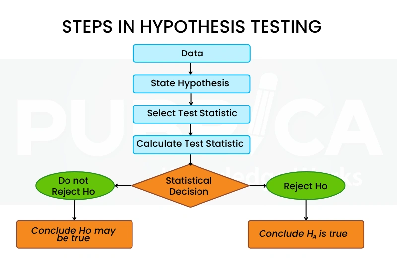 What is a Statistical Hypothesis?