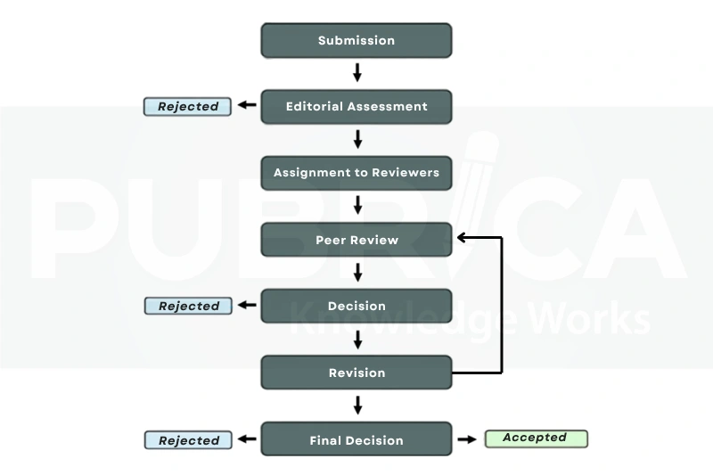 Publication support services