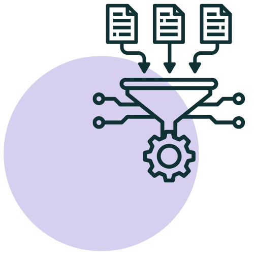 _Data Management & Preparation