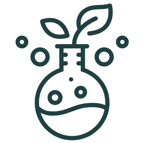 Support Services