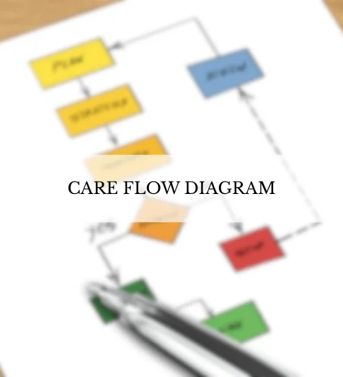 care flow diagram